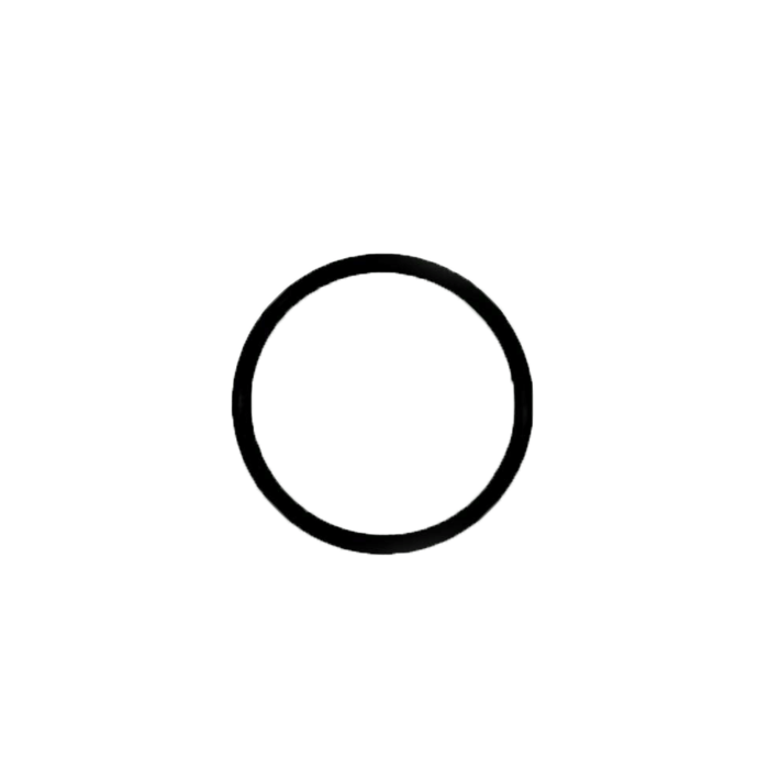 o-shape-guiding-ring