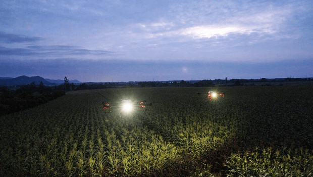 night-spraying-services
